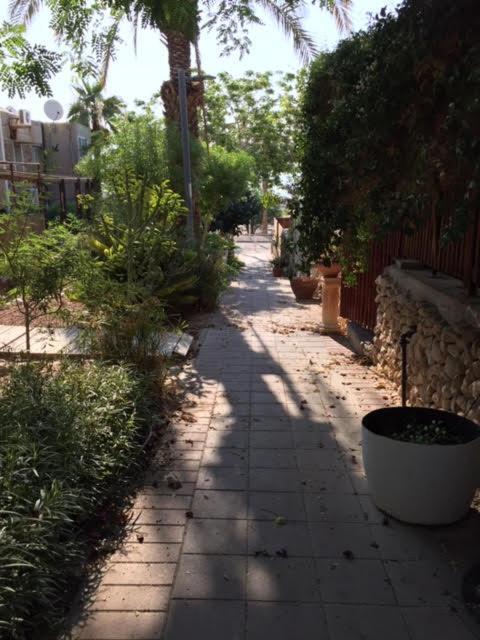 הבית של דרורי Neve Zohar Exterior photo